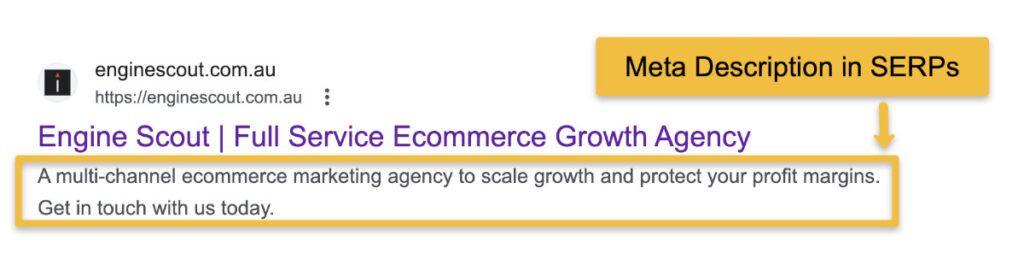 The Importance of Meta Descriptions for SEO Success