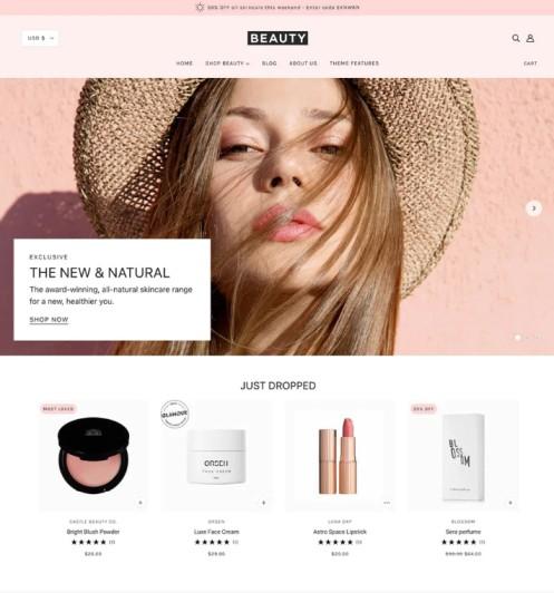 9+ Best High-Converting Shopify Themes to Boost Sales 