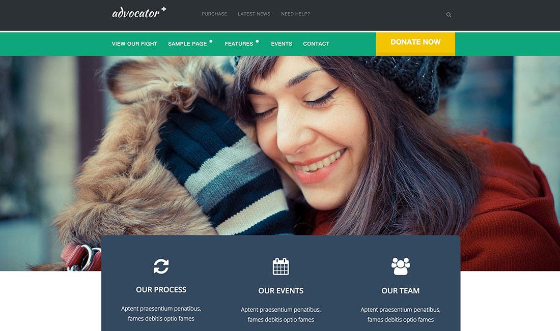 8+ Best Non Profit WordPress Themes