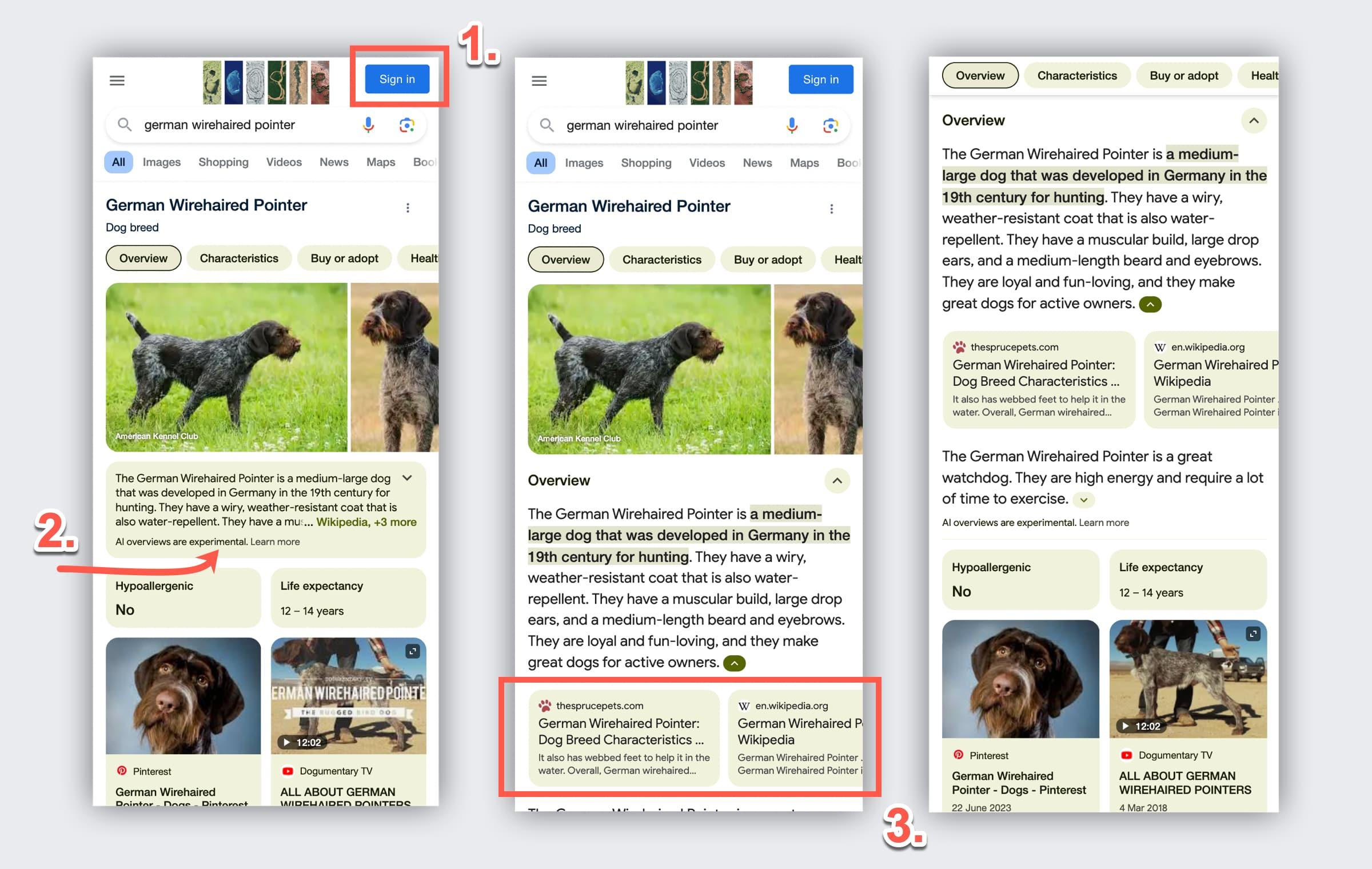 What are Google AI Overviews & How to Rank?