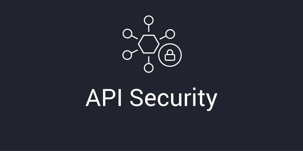 Assessing the Security Risks Associated with the REST API