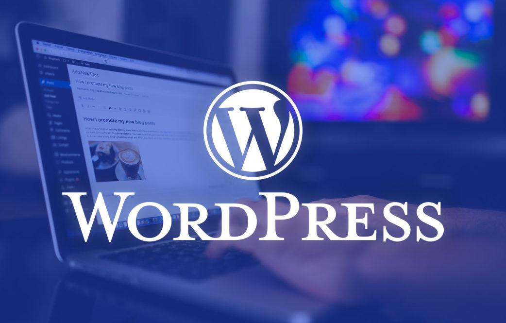 Understanding the Basics of WordPress and Why It Matters