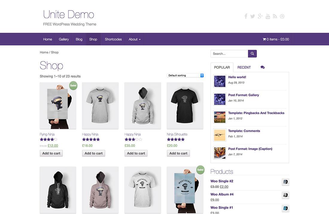Best Ecommerce WordPress Themes