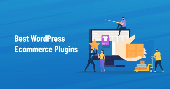 Plugins That Perfectly Complement Your Ecommerce Theme