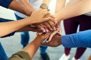 Support and Documentation: How Each Theme Stands Up