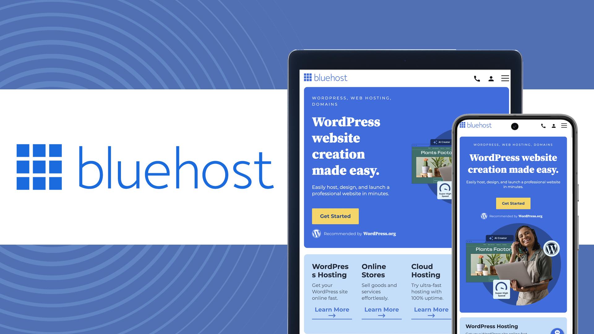 Understanding the Basics: Bluehost and DreamHost Explained