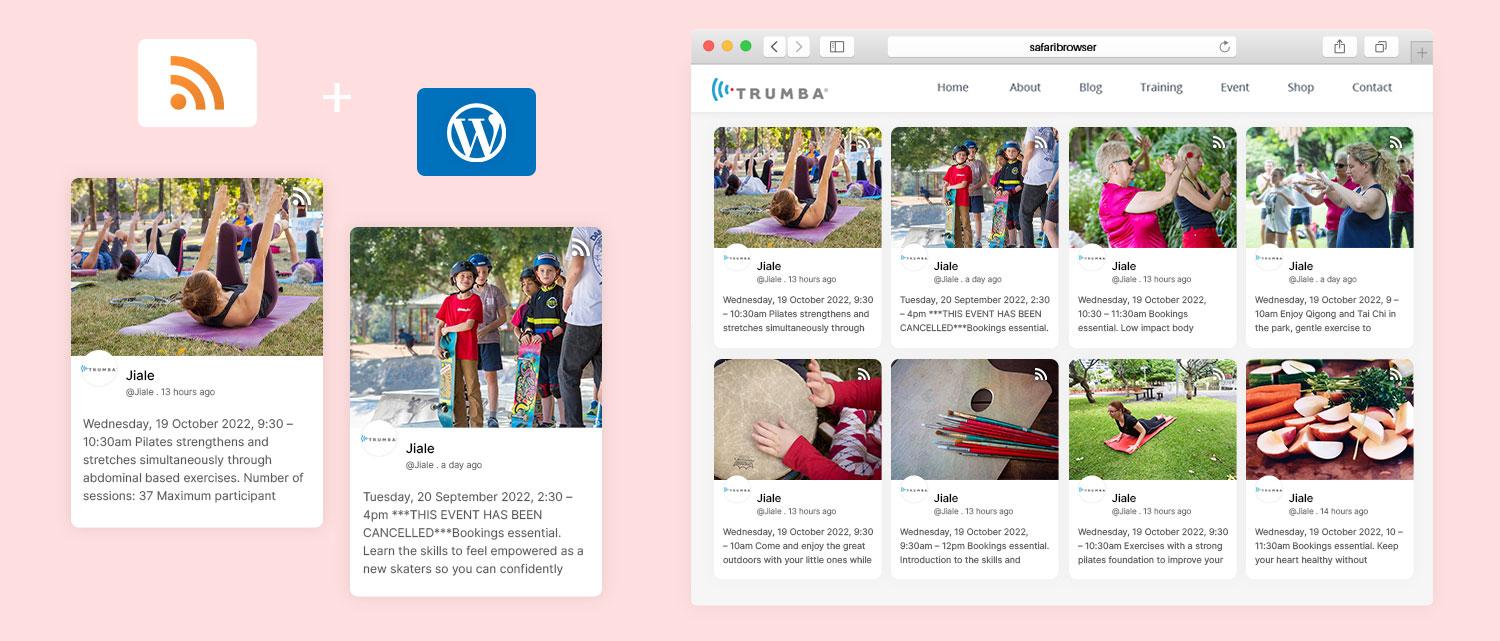 A Closer Look at the Top WordPress RSS Feed Plugins for 2025