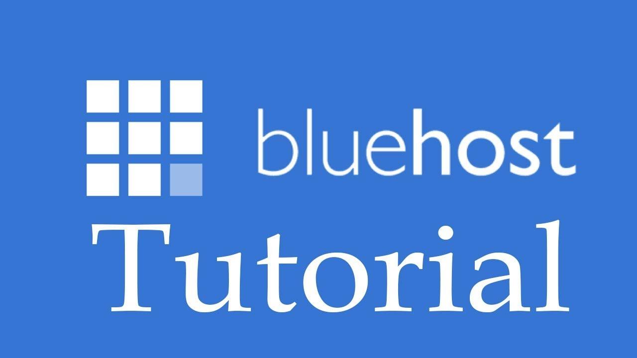 Features That Stand Out: Unique Offerings from Each Host