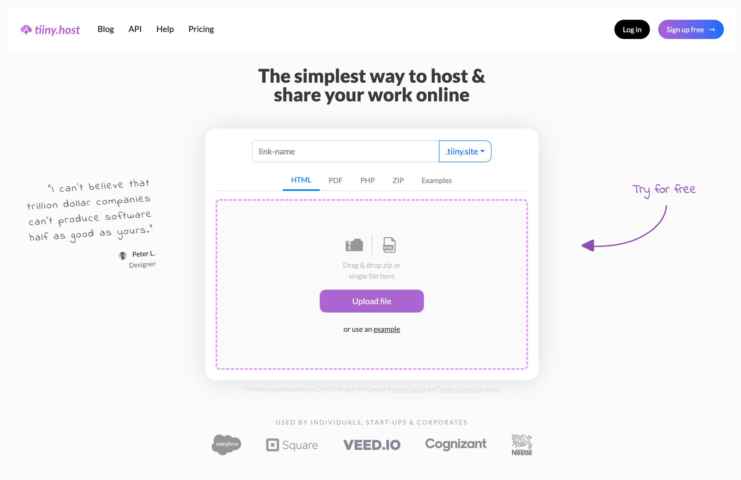 Understanding tiiny Host and What it Offers