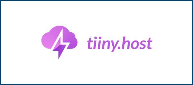 Final Verdict: Is Tiiny Host the Right Choice for You?