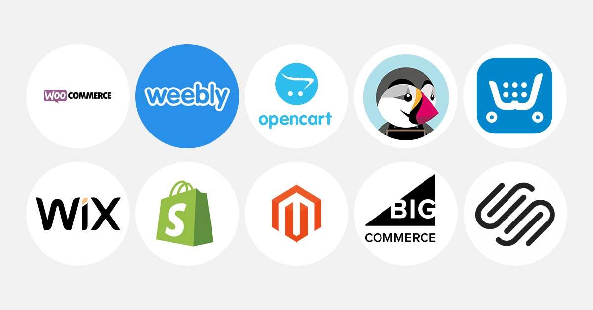 Success Stories: Real Businesses Thriving on These Platforms