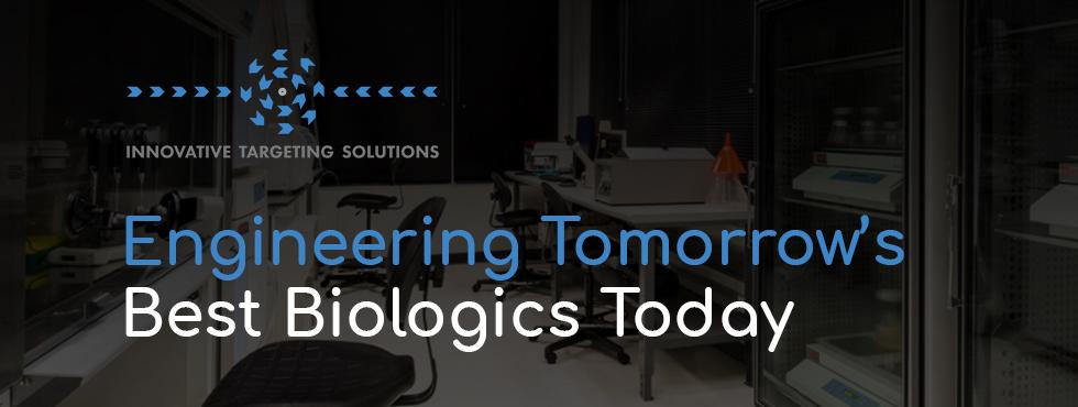 Boost Your ​Advertising ‍Efficiency⁣ with ⁣Targeting Solutions