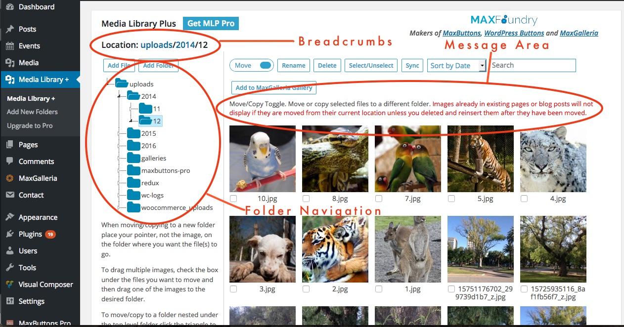 Why You Need a Media Library Plugin for Your WordPress Site