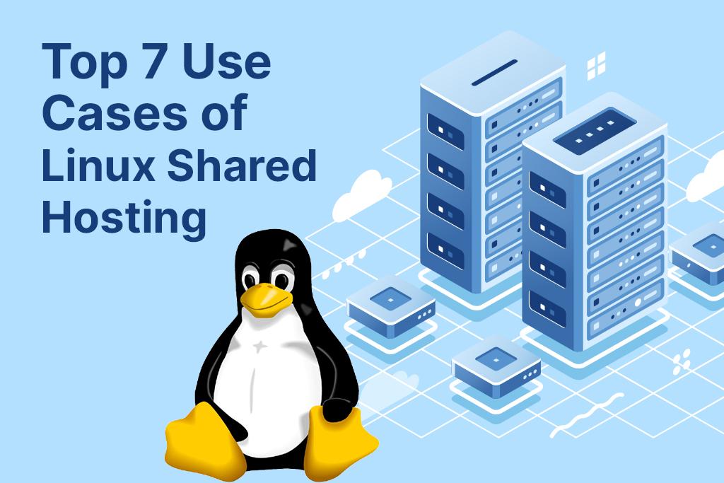 Understanding the Basics of Linux and Windows Hosting for WordPress