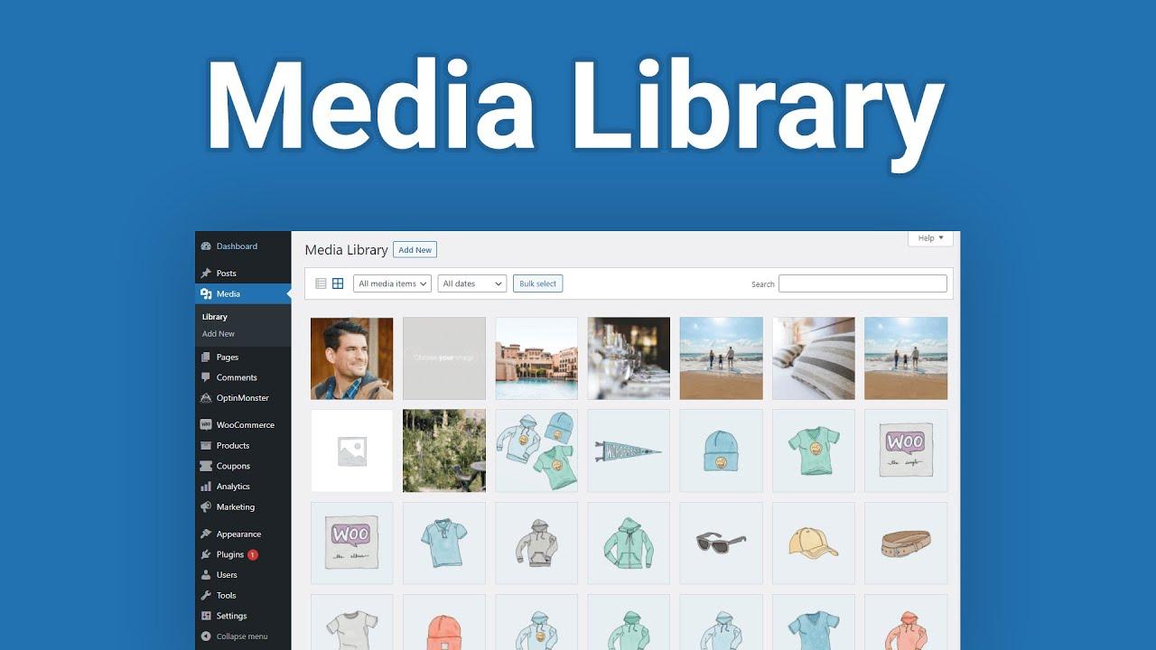 Maintaining Your Media Library: Best Practices to Follow