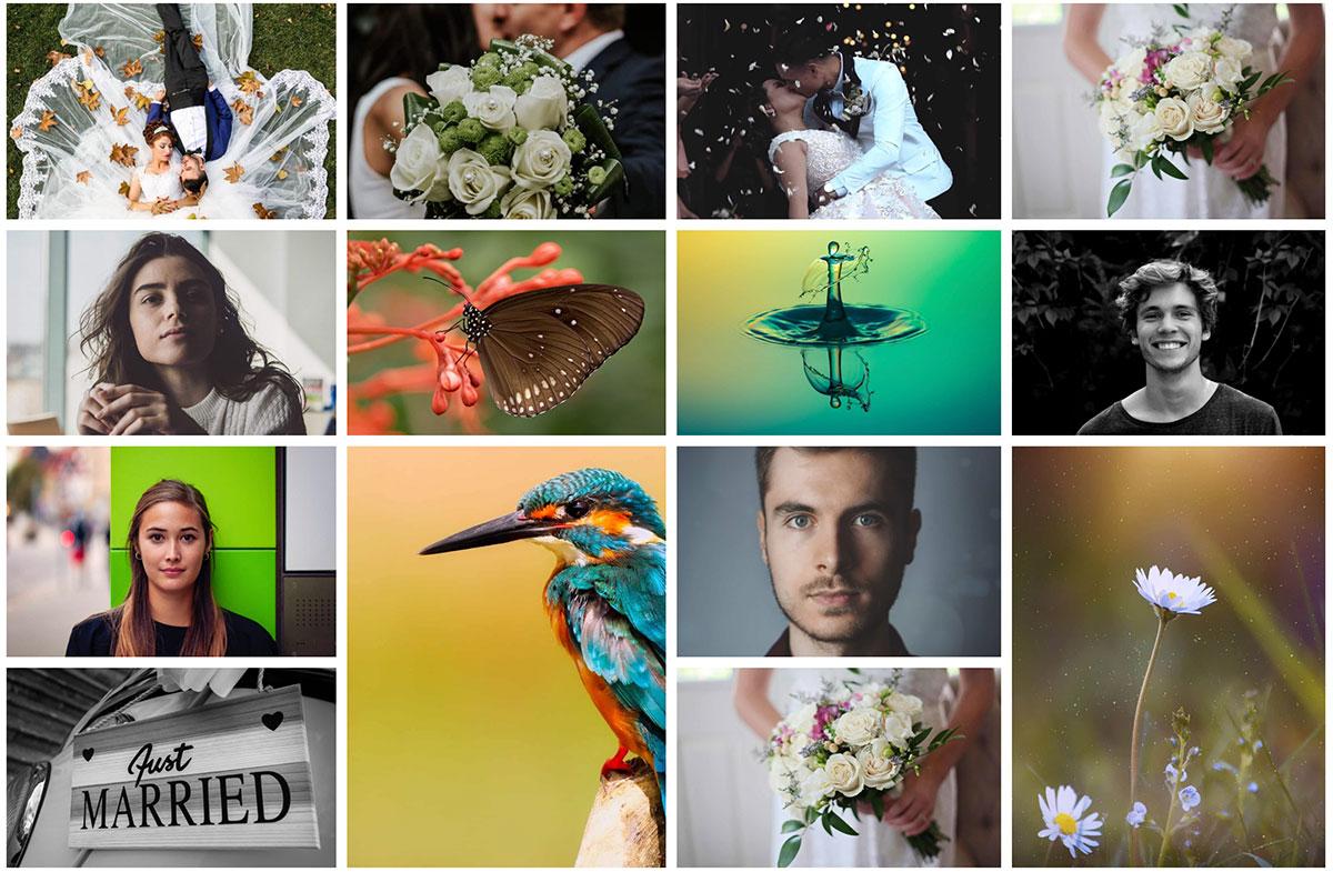 Final Thoughts: Elevate Your Photography Game with These Plugins