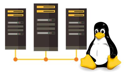 Key Differences Between Linux and Windows Hosting