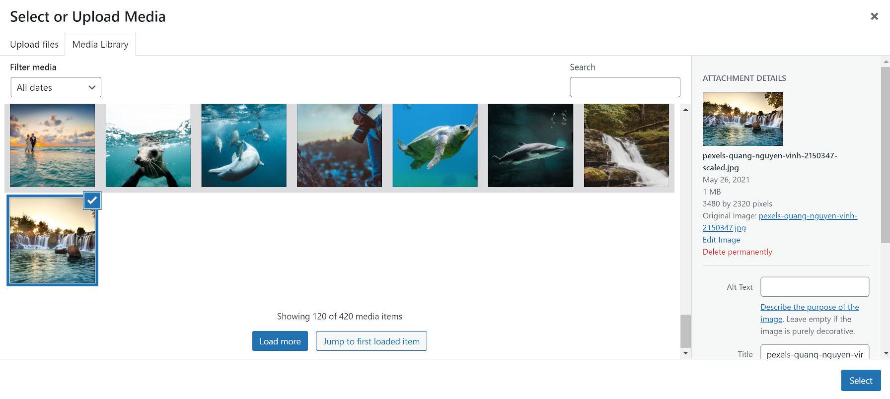 The Benefits of Using a WordPress Media Library Plugin